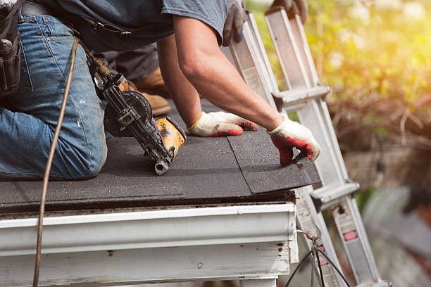 Professional Roofing Contractor in Holly Hills, CO