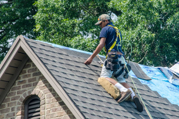 Best Gutter Installation and Roofing  in Holly Hills, CO